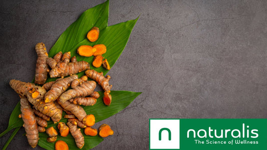 Unveiling the Golden Spice's Health Secrets - Naturalis