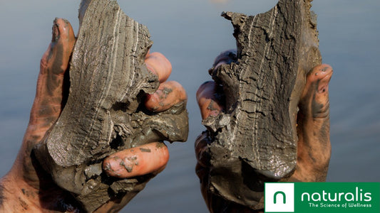 Unlocking the Secrets of Dead Sea Mud: Nature's Ultimate Skin Rejuvenator - Naturalis